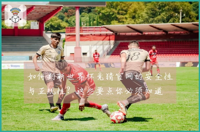 如何判断世界杯竞猜官网的安全性与正规性？这些要点你必须知道