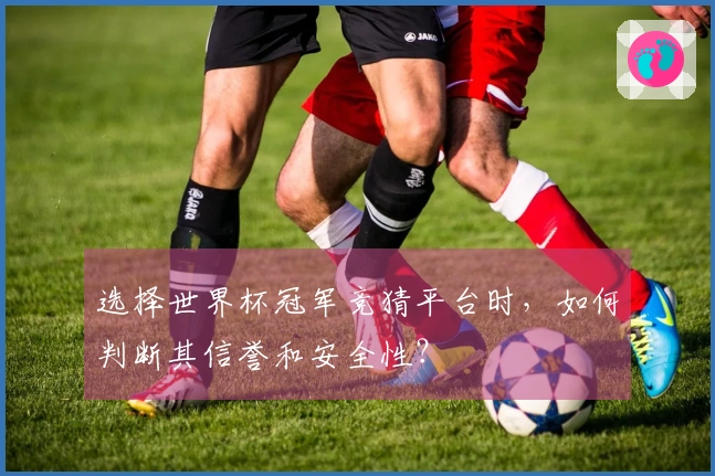 选择世界杯冠军竞猜平台时，如何判断其信誉和安全性？