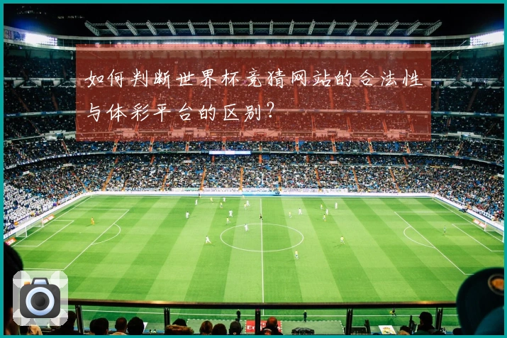 如何判断世界杯竞猜网站的合法性与体彩平台的区别？